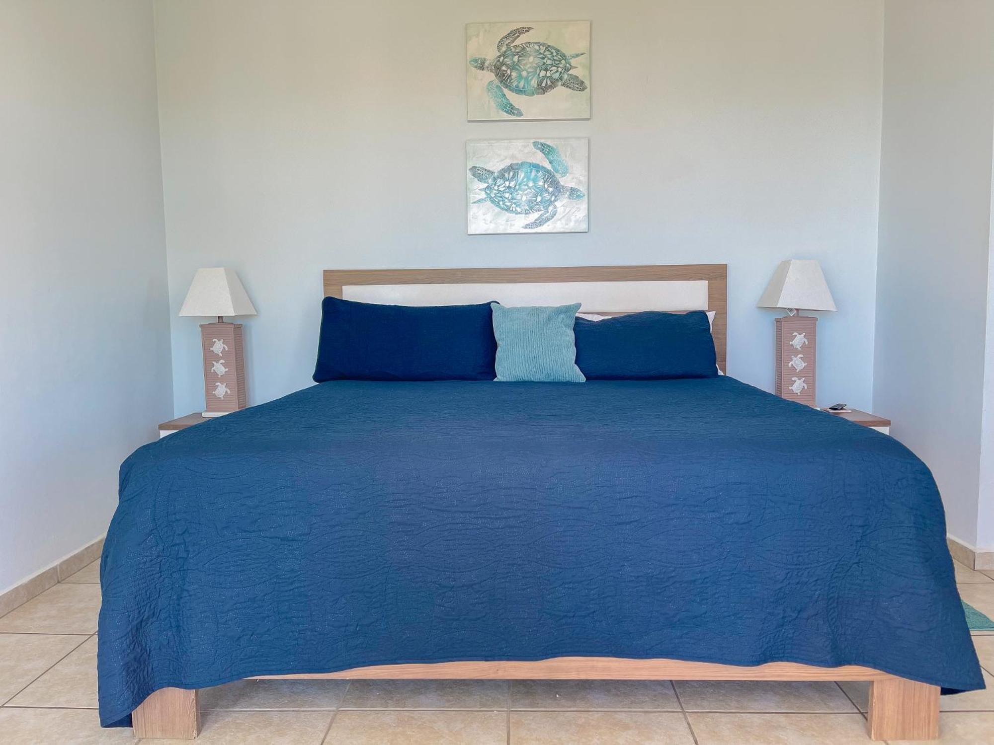 Island Charm Culebra Studios & Suites - Amazing Water Views From All 3 Apartments Located In Culebra Puerto Rico! Isla Culebra エクステリア 写真